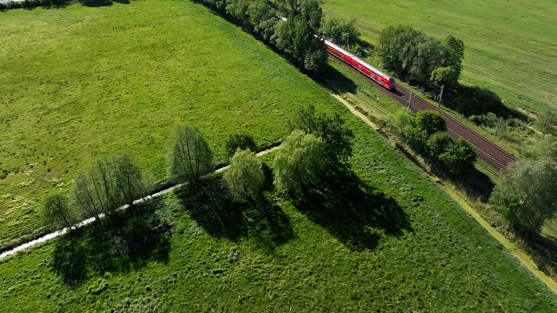 Regio-Zug fährt in der Natur